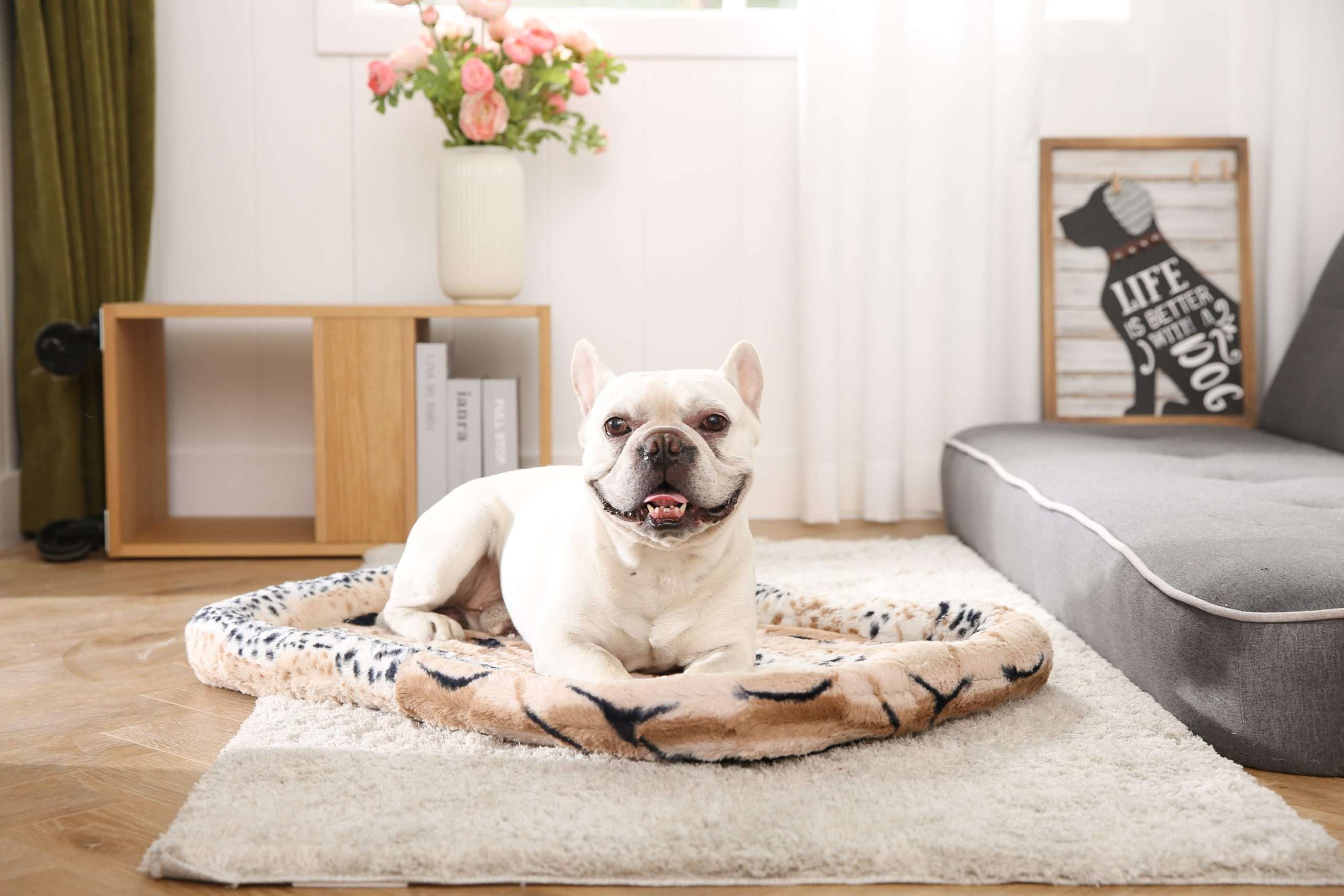 honden kooi kussen