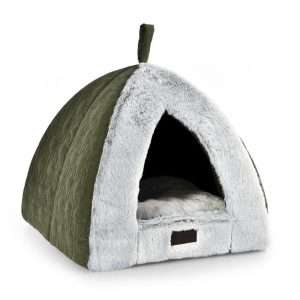 eco friendly caverna del gatto
