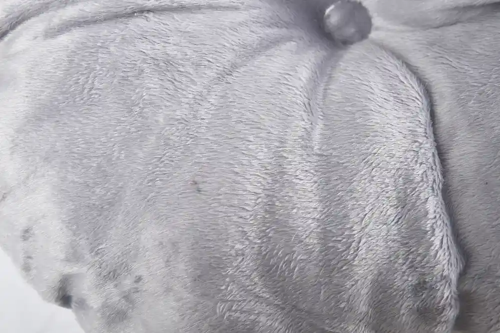 eco-friendly dog bed supplier