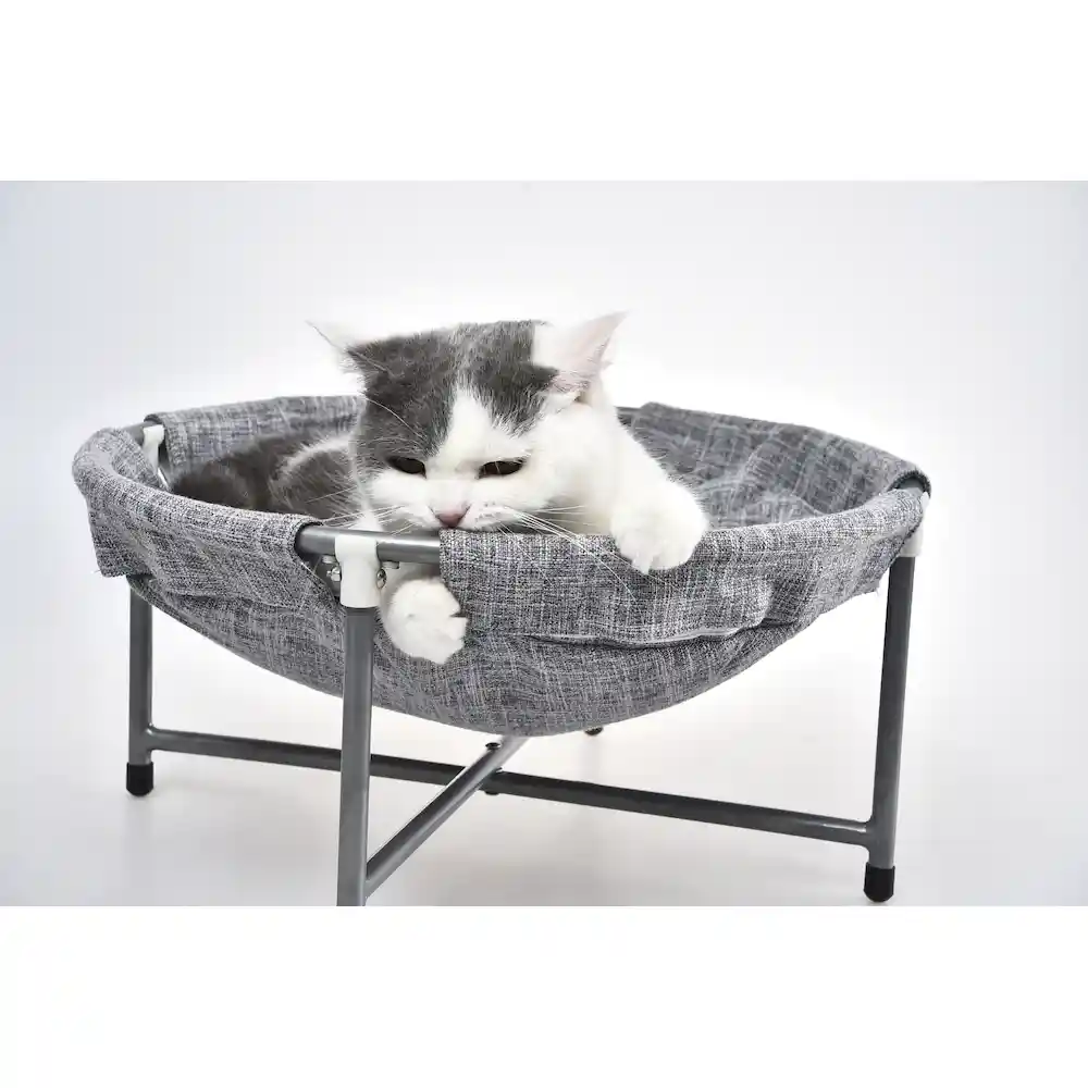 elevated cool dog bed