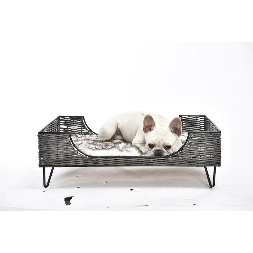 Erhöhtes Hundebett Export