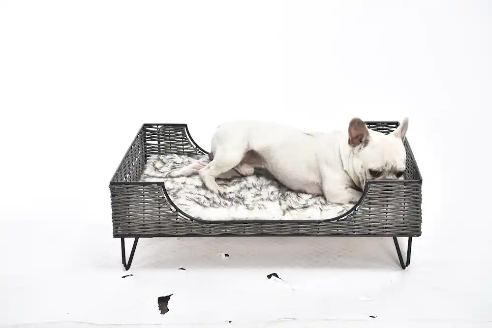 Erhöhte Hundebetten