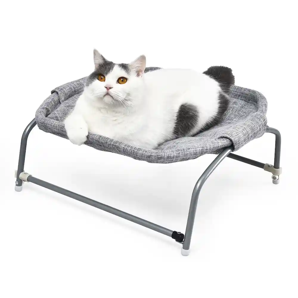 elevated portable pet bed factory