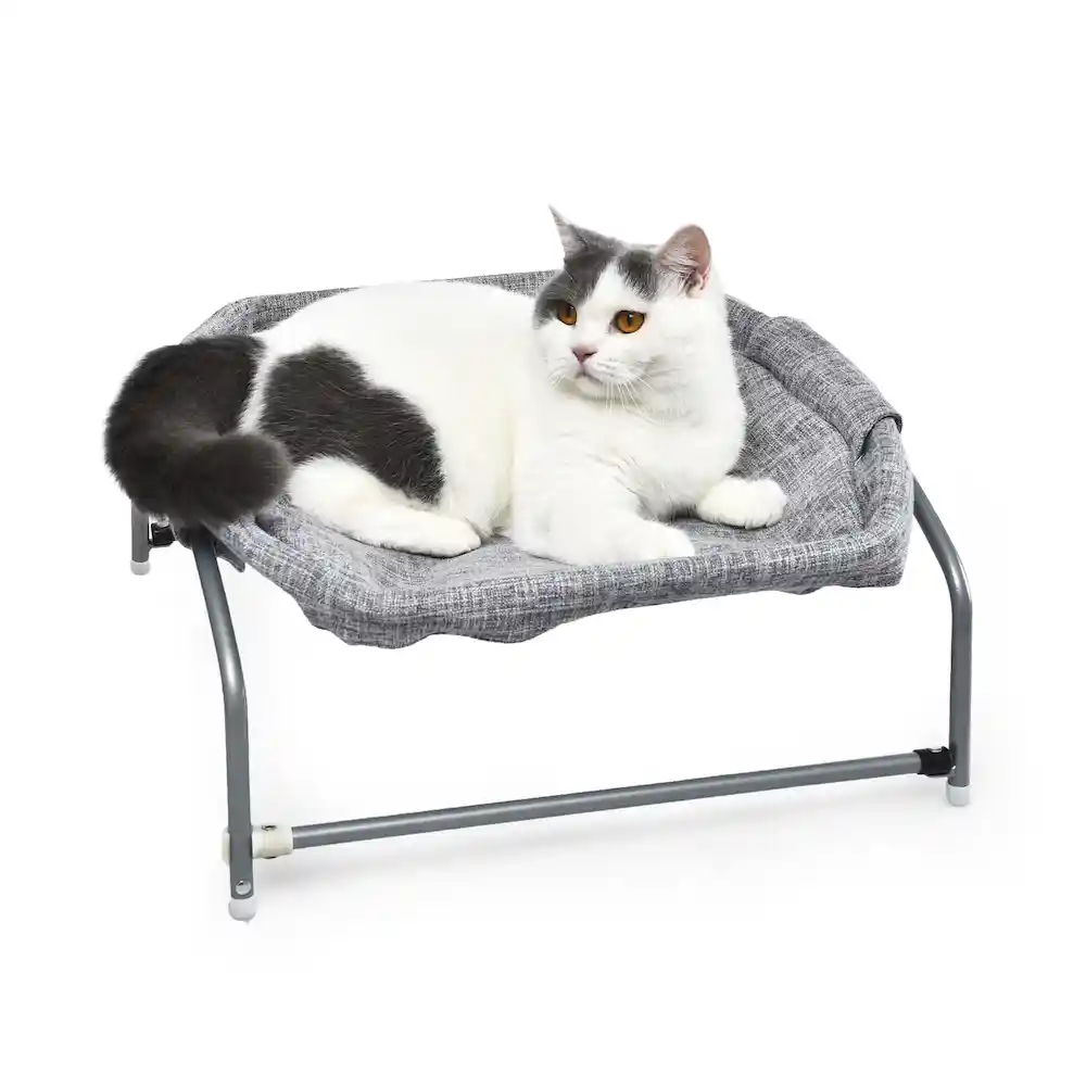 elevated portable pet bed supplier