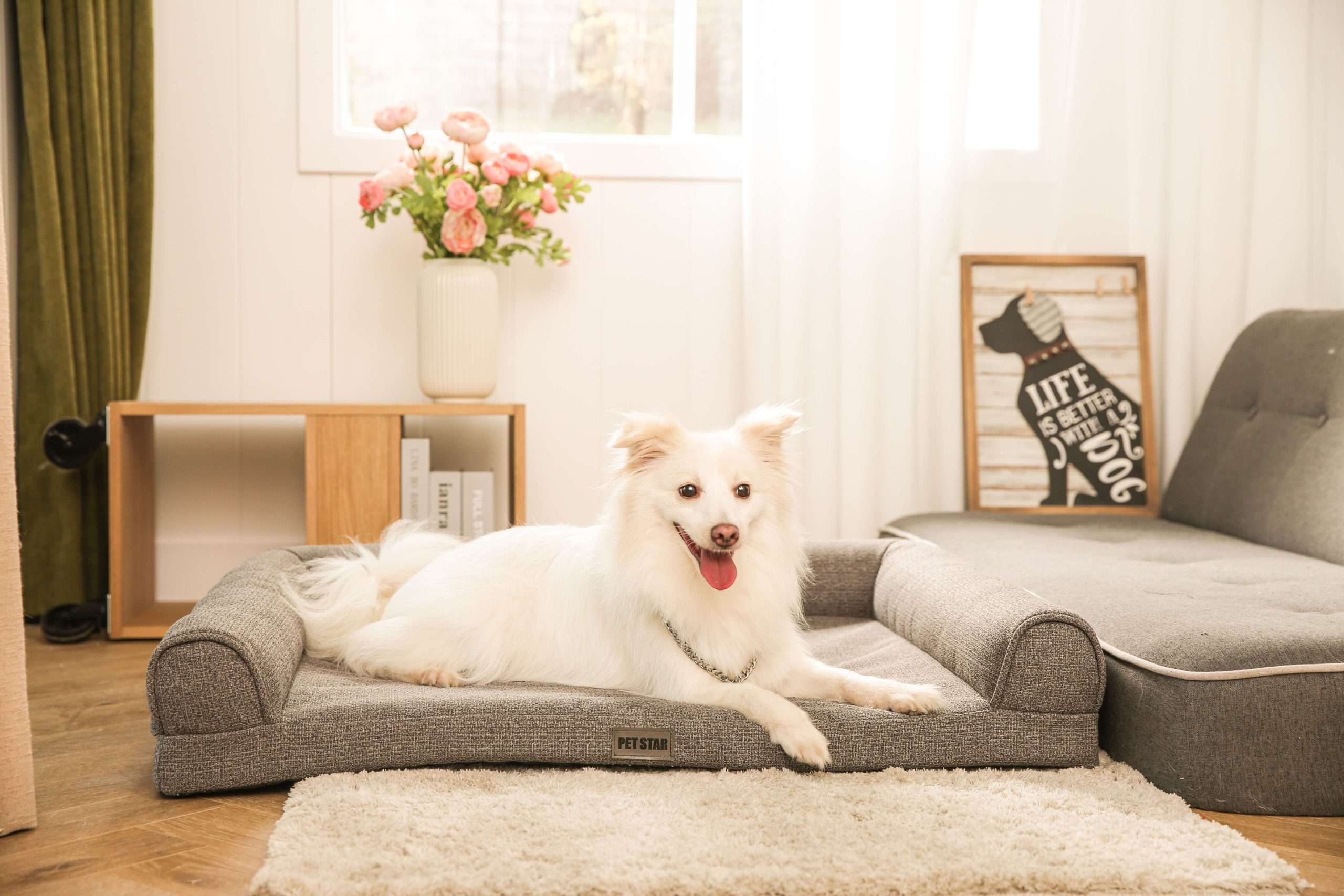 foam dogs sofa