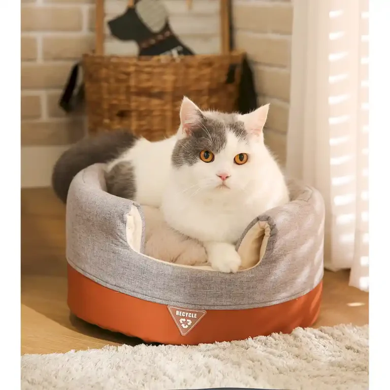 proveedor de camas plegables para mascotas de interior y exterior