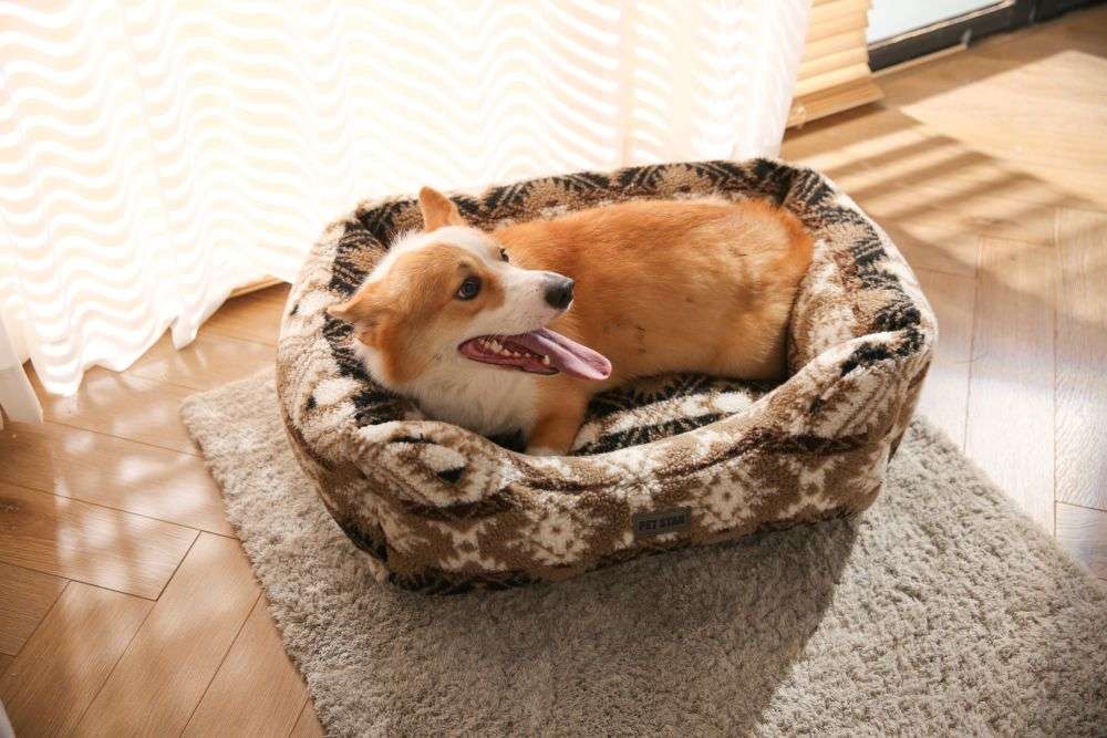 indoor dog bed