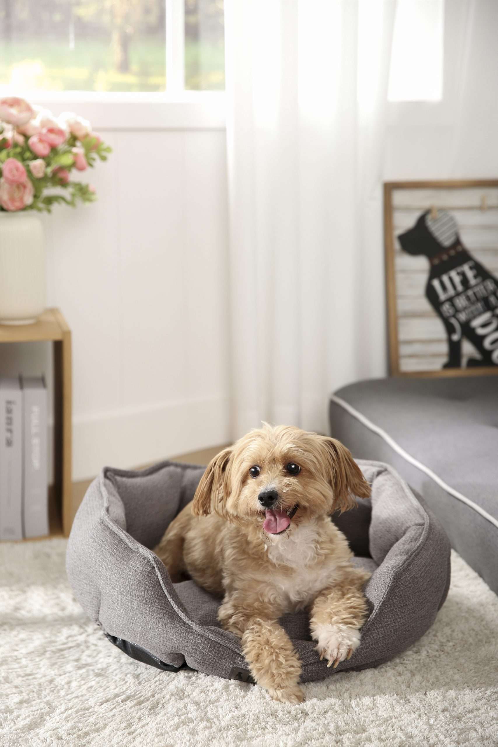 large grey dog bed