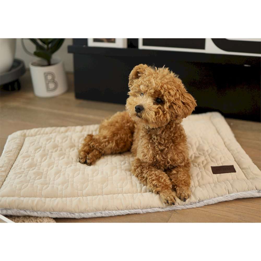 oem eco friendly dog blanket