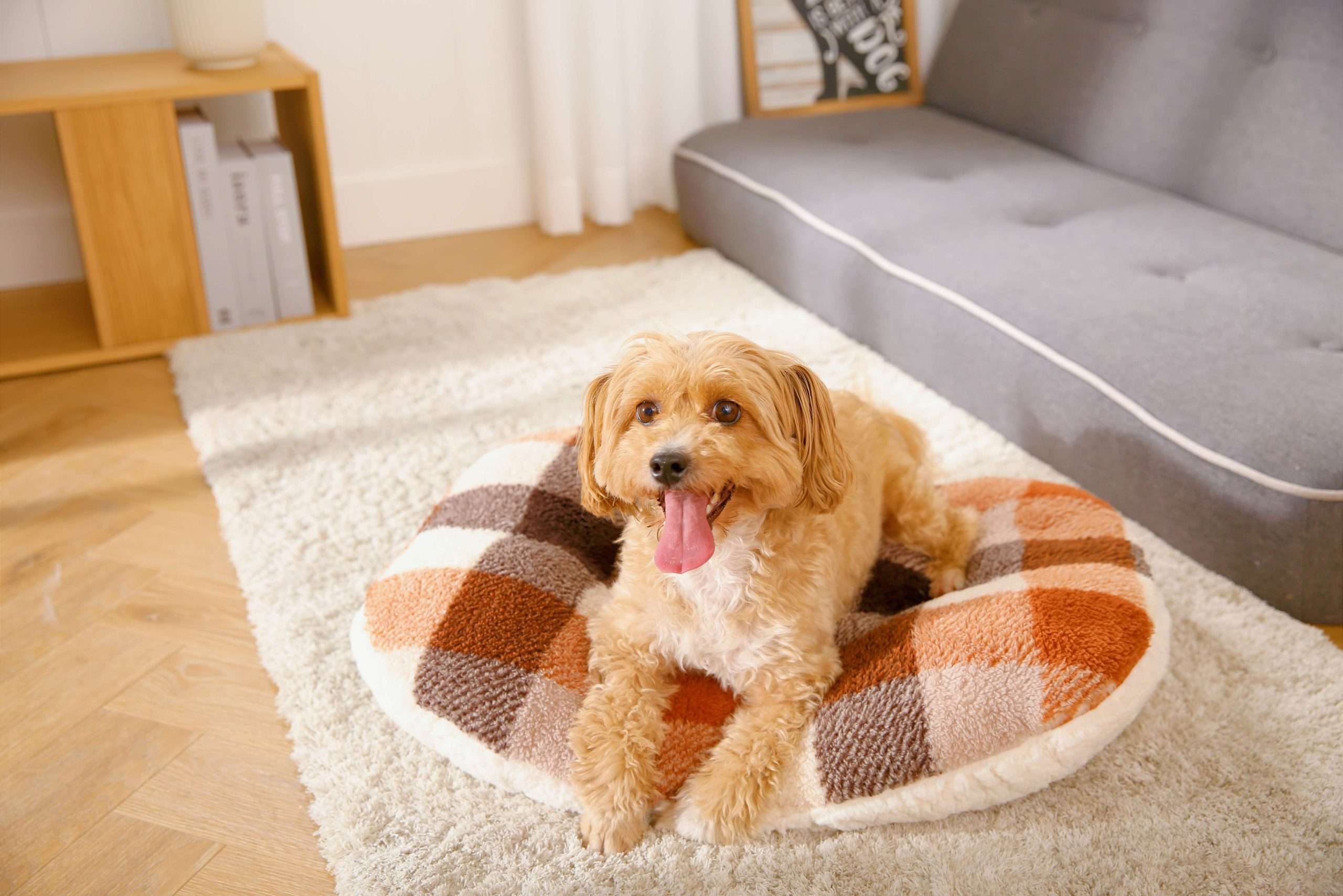 kariertes Hundebett Kissen