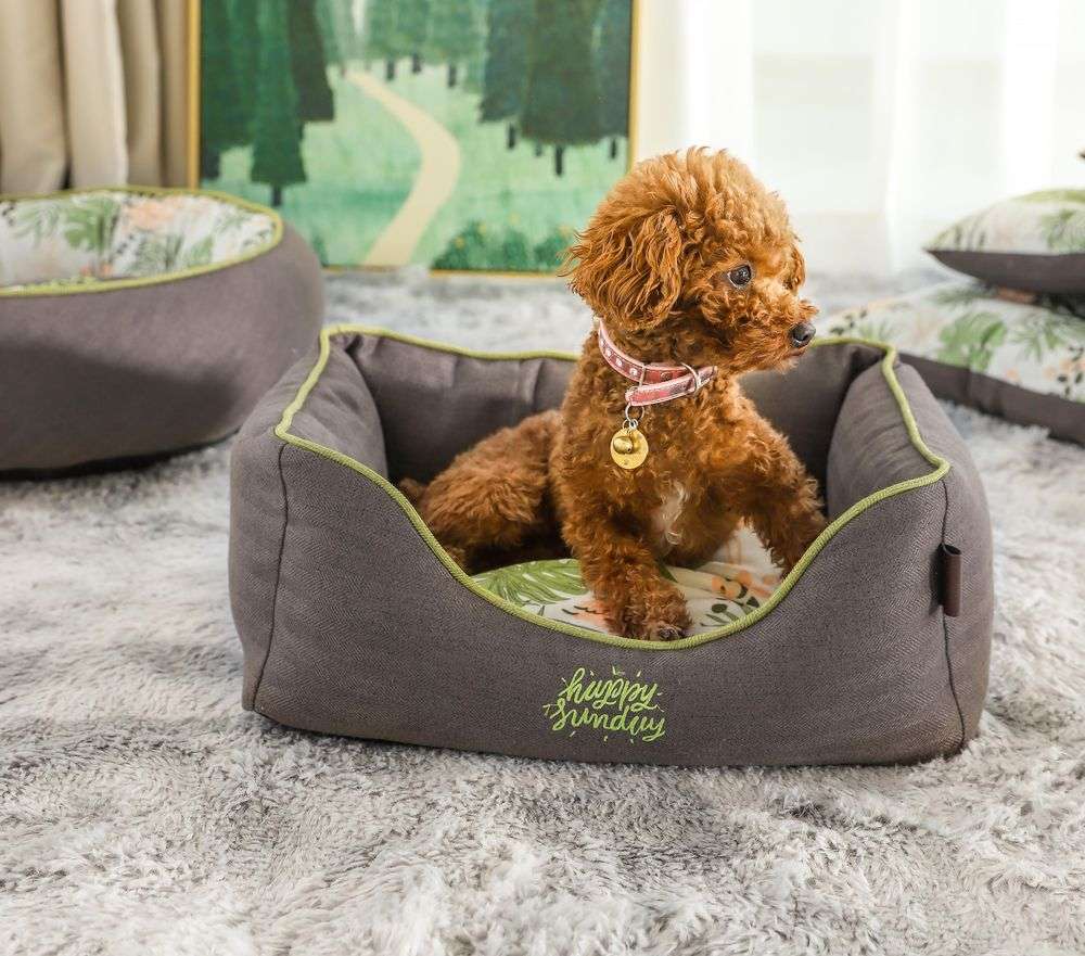 printed pet cats beds