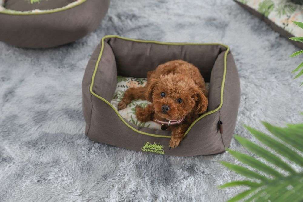 printed pet dogs beds