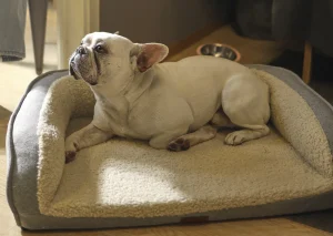self-warming dog bed
