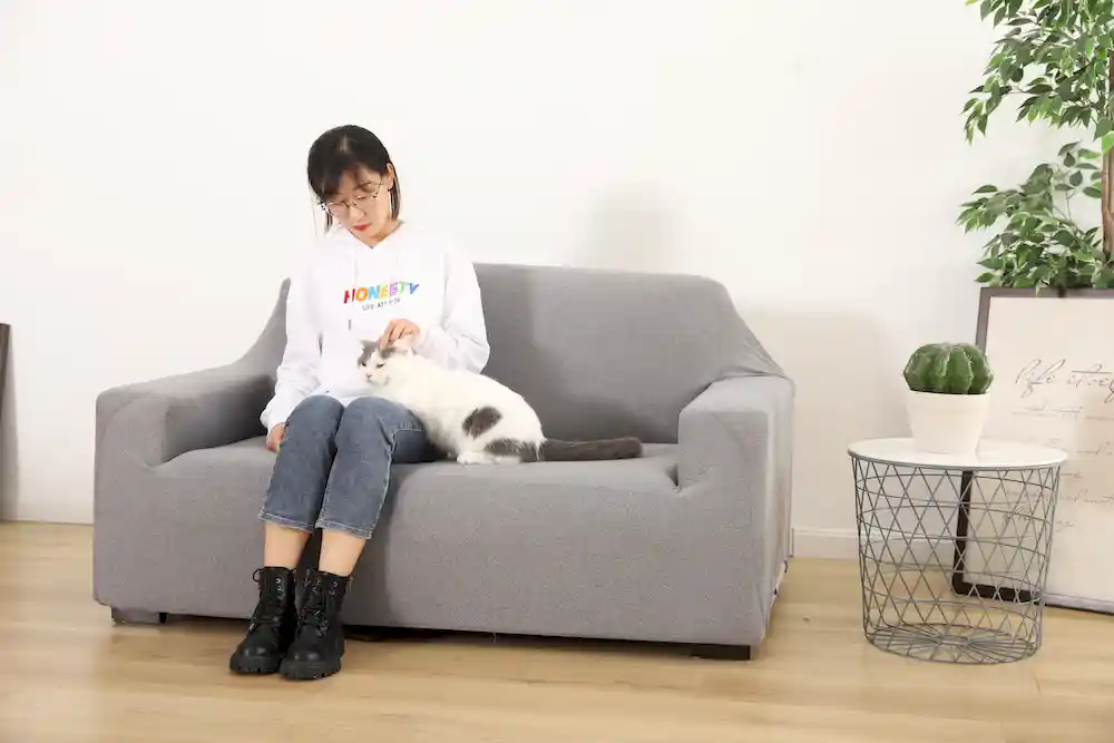 sofa cover for pets for sale
