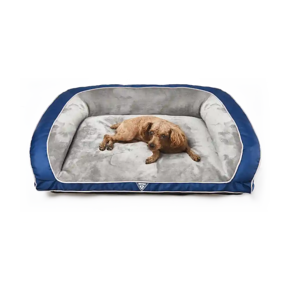 sofa style dog bed