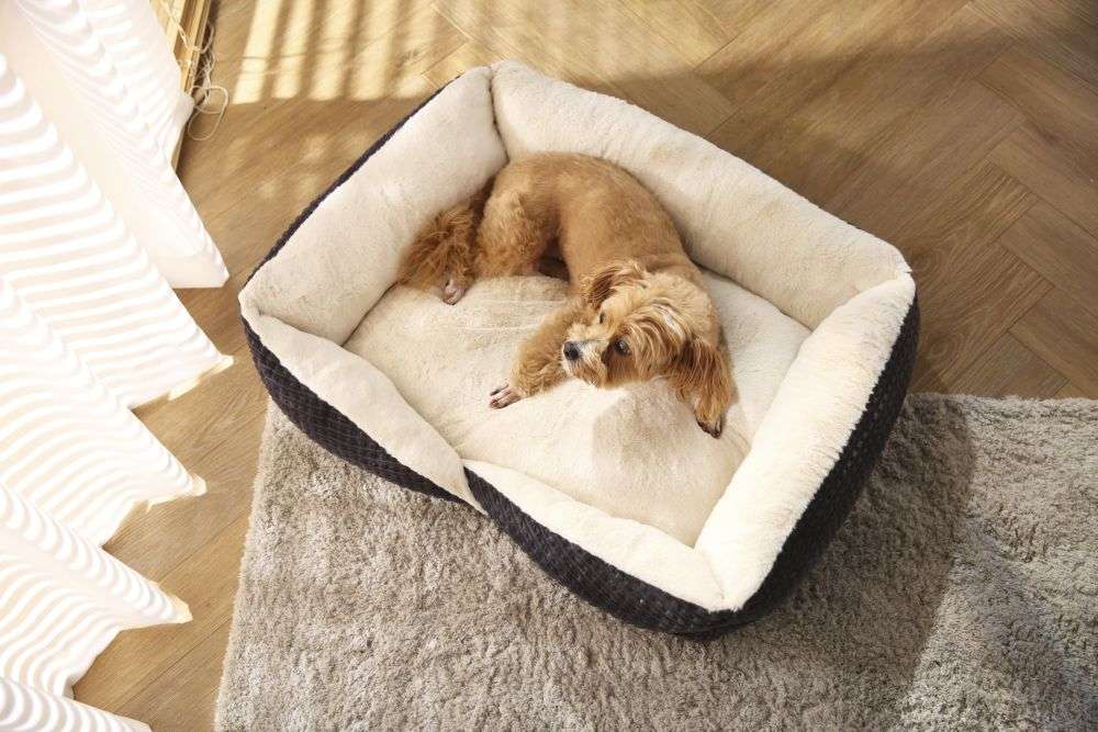 super cozy dog beds