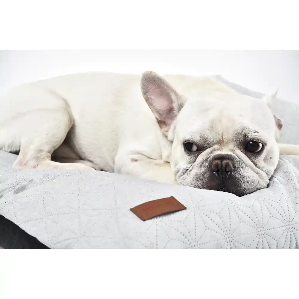 cama de almofada lavável para cães a granel