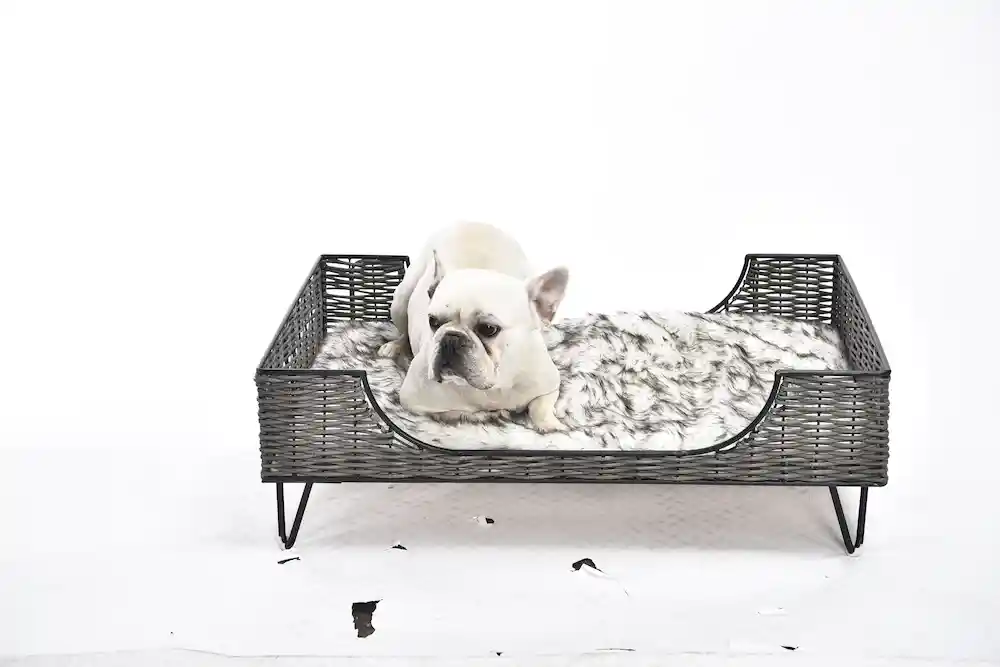 Großhandel erhöhte Hundebetten