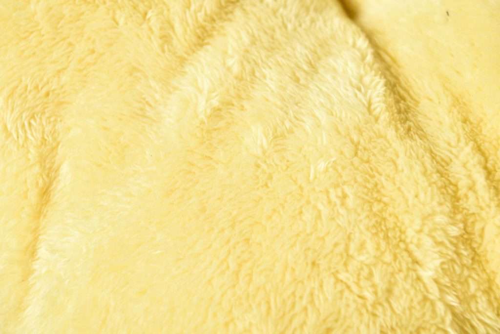 wholesale school bus pet bed