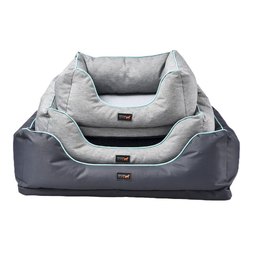 Best bolster elevated bed dog
