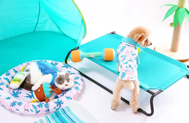 Design dog beds