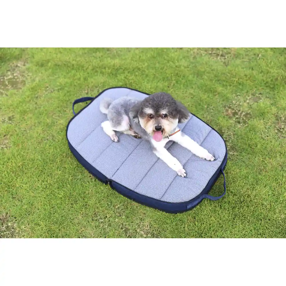 Pet Travel Bed Manufacturer