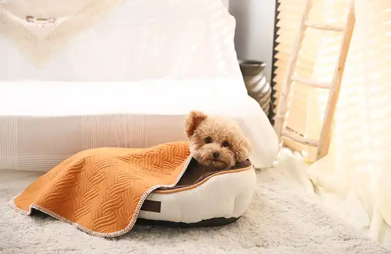 Zelfverwarmend hondenbed