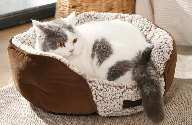 Traditional Cat Beds