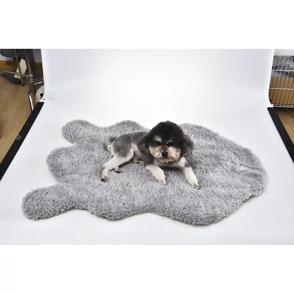 best outdoor mats for dogs