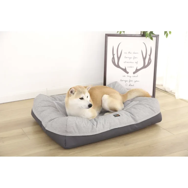 best pet bed factory