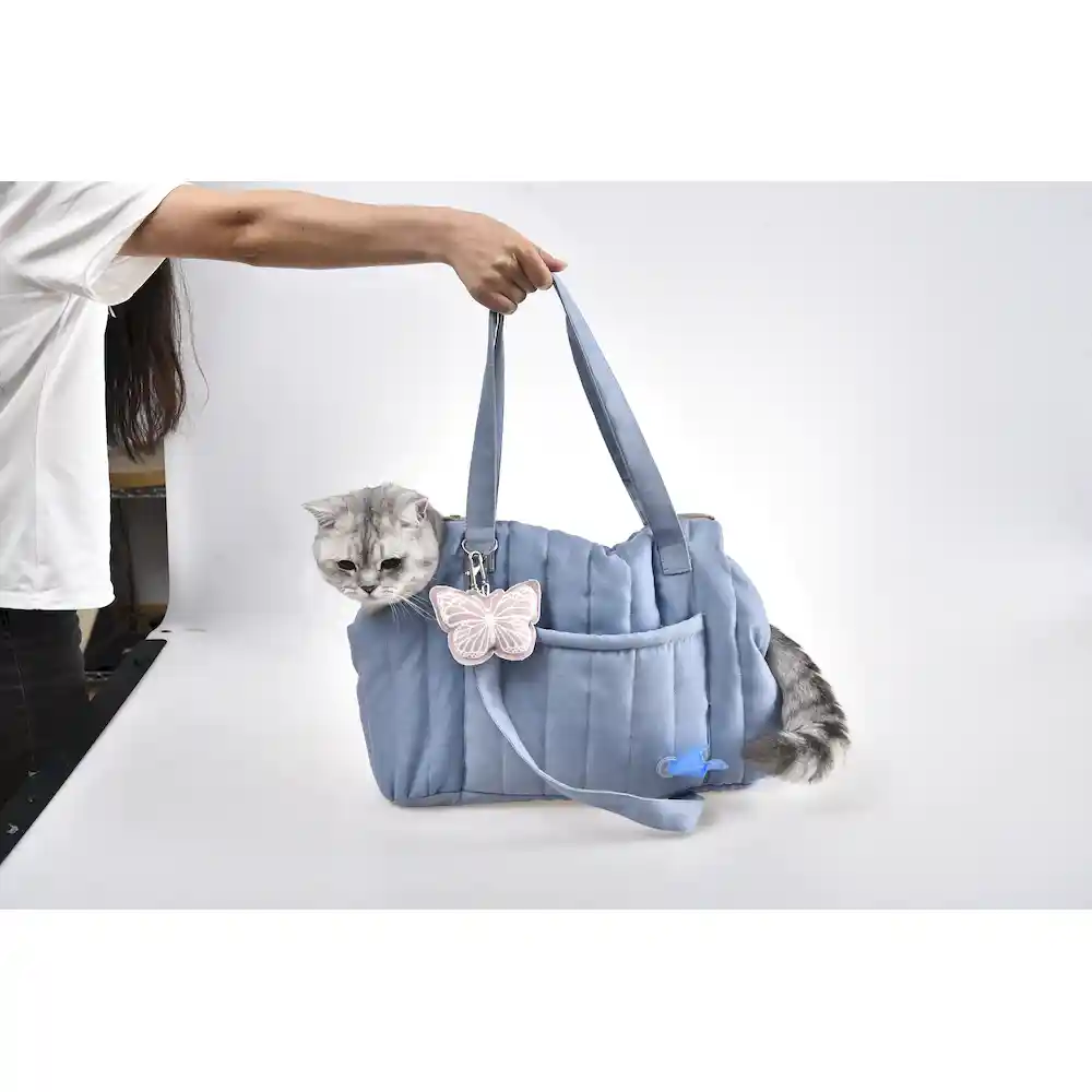 blue dog carrier manufacturer