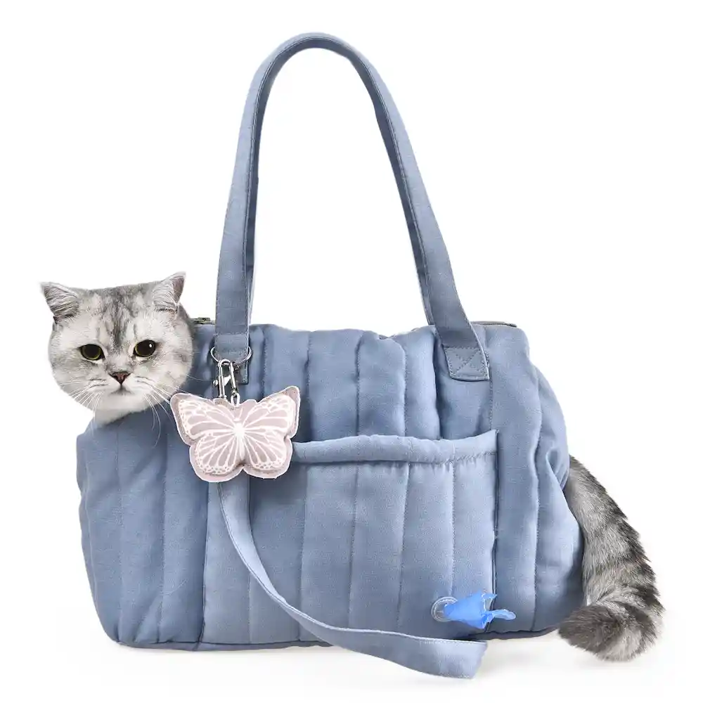 blue dog carrier supplier