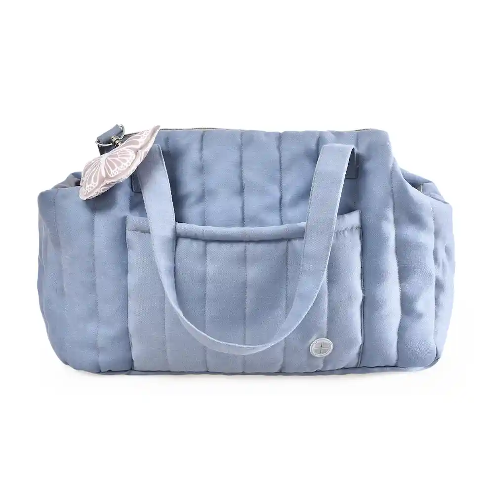 blue dog carrier