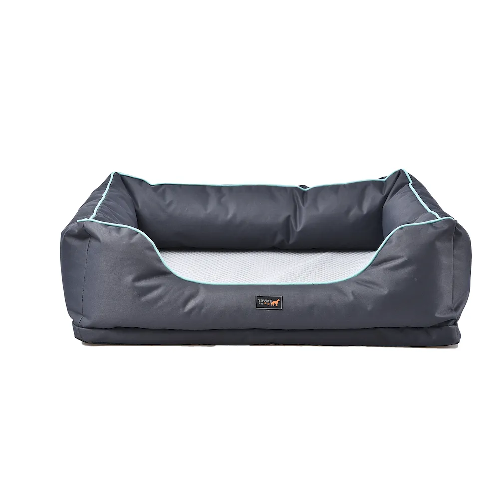 bolster elevated bed dog