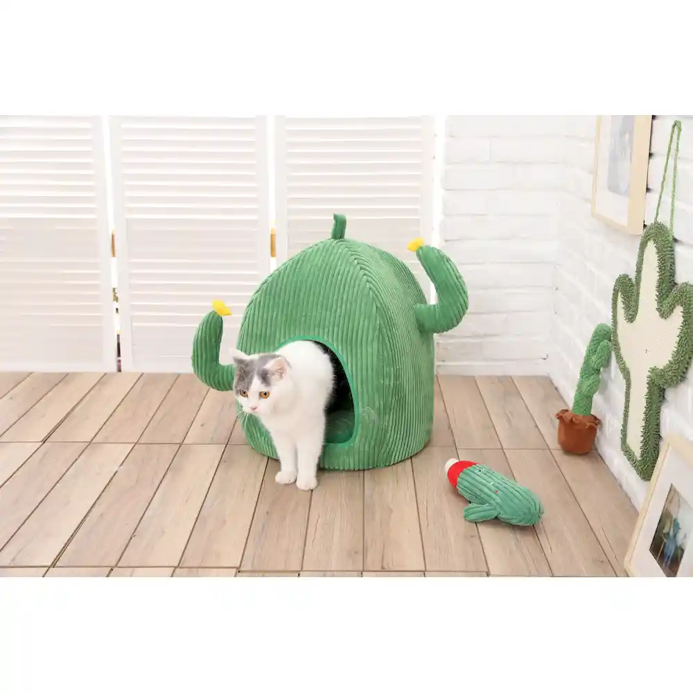 cactus pet bed