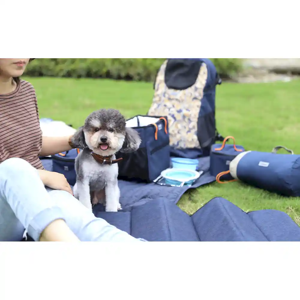 car seat dog cover