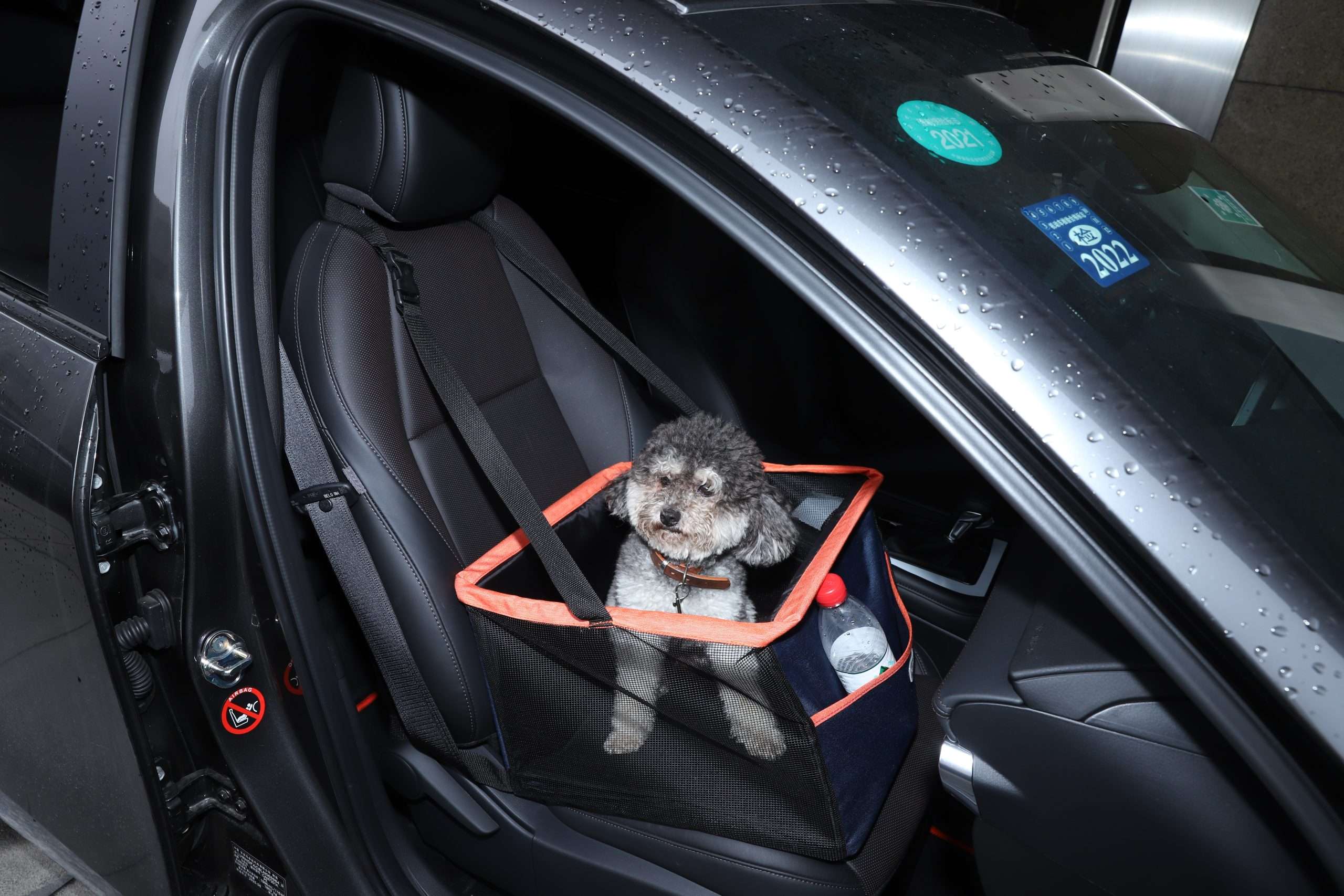 dog bed car seat OEM