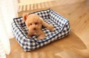 dog bed for small dogs