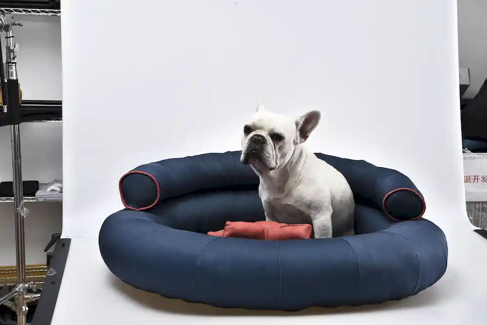 dog bed with bolster OEM