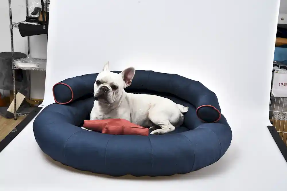 dog bed with bolster manufacturer