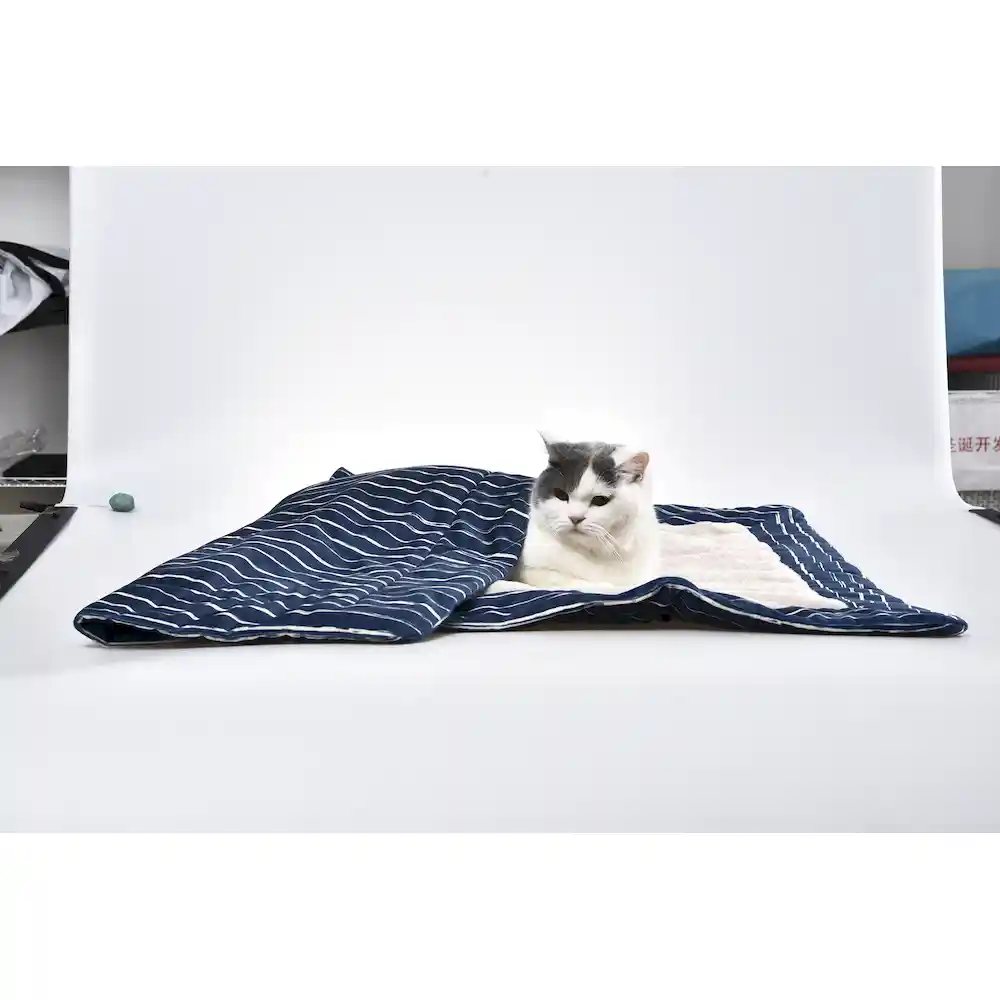 dog blanket