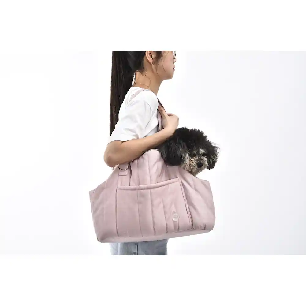 dog travel carrier