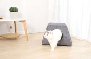 eco-friendly pet beds