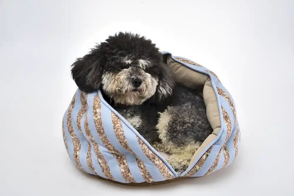 enclosed dog bed OEM