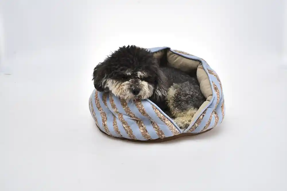 enclosed dog bed manufacturer