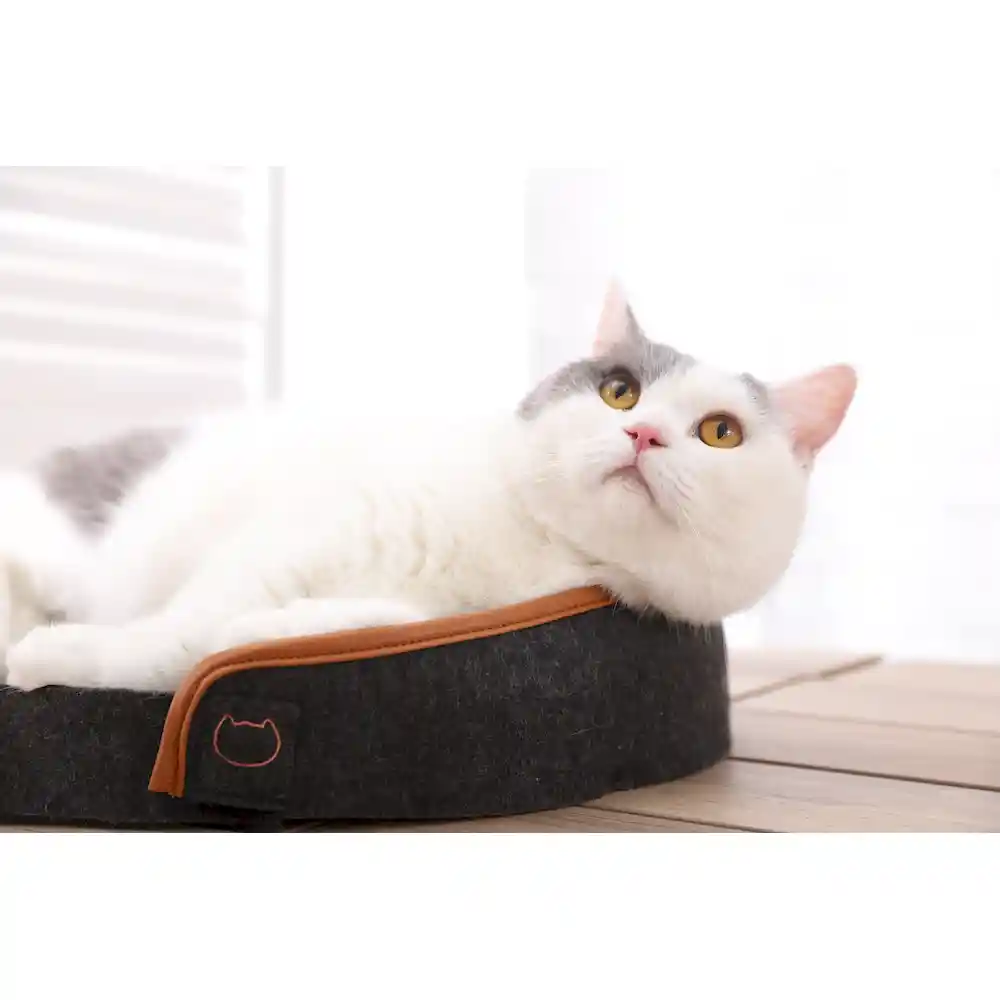 felted pet bed factory