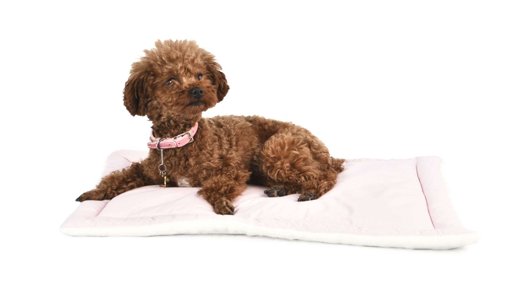 fleece dog mat