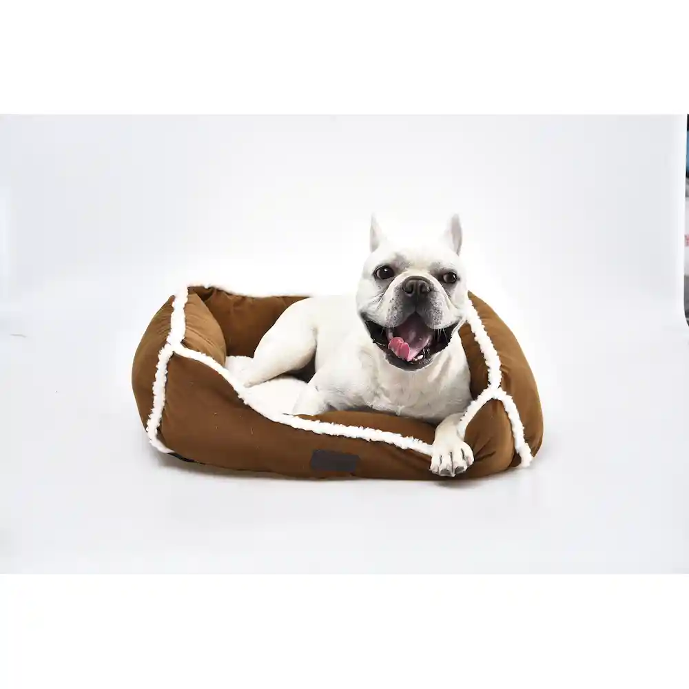 modern dog beds factory