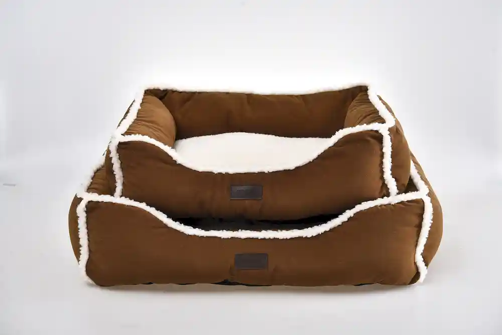 modern dog beds supplier