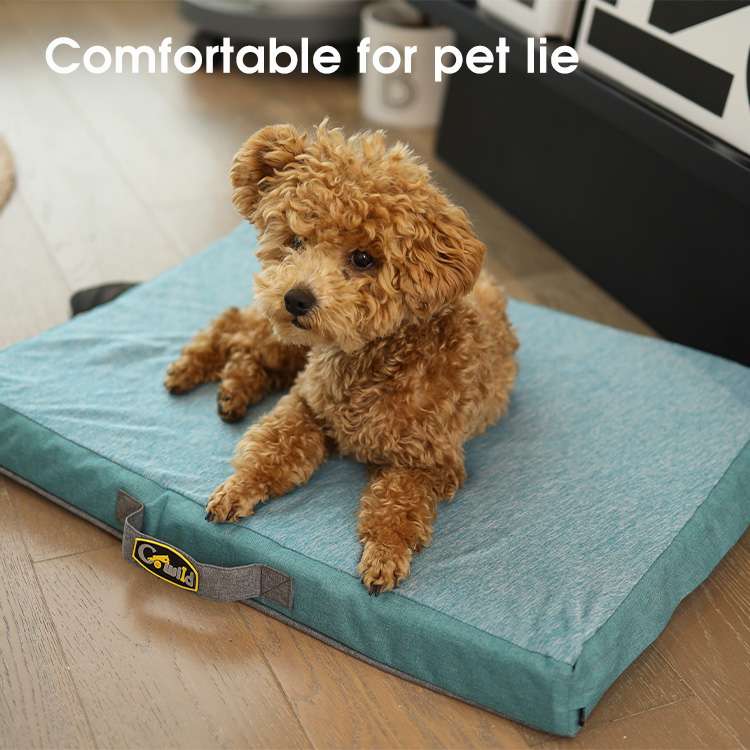 orthopedic foam cooling dog bed